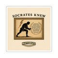 Mat Culture- Socrates Knew Square Sticker